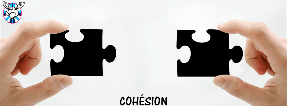COHESION.png