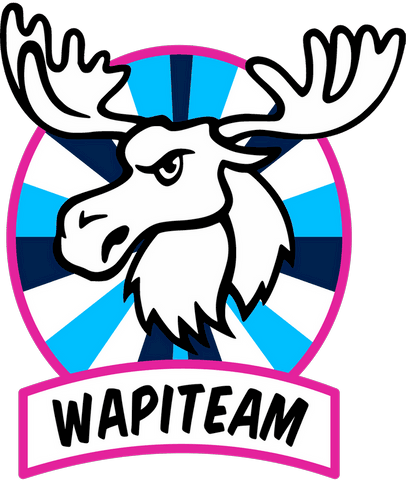 Logo WAPITEAM